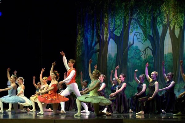 Company Performance
