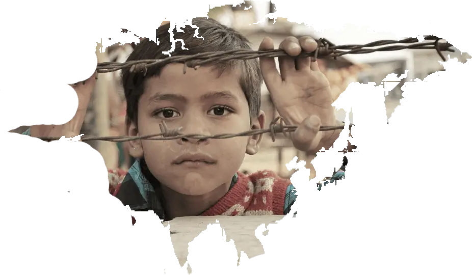 dp-non-profit-10